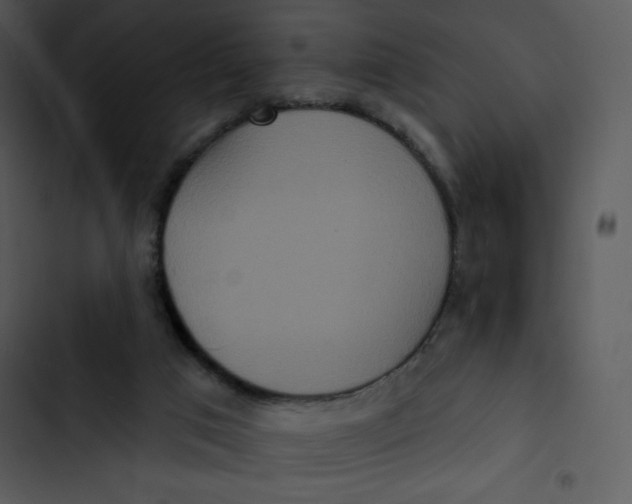 X0000102810017200809081119