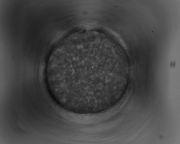 X0000102810018200809081119