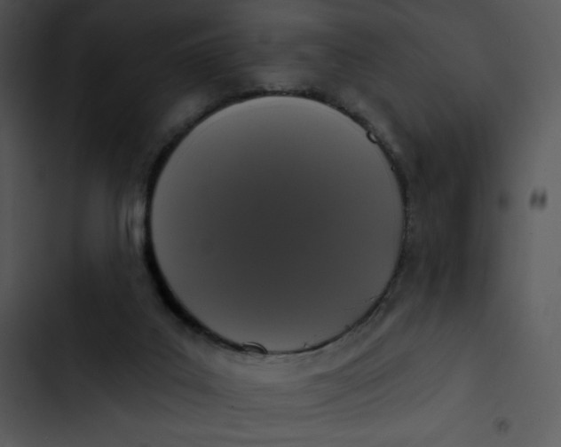 X0000102810019200809081119