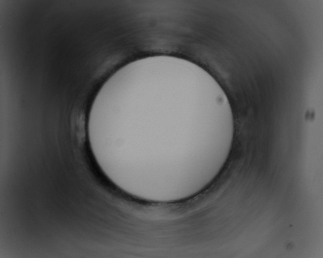 X0000102810020200809081119