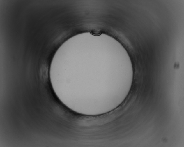 X0000102810021200809081119