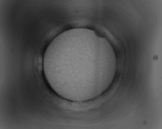 X0000102810022200809081119