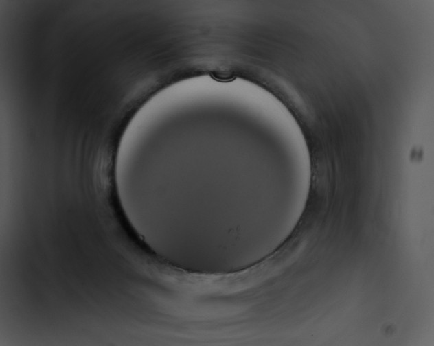 X0000102810023200809081119