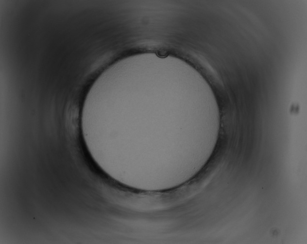 X0000102810024200809081119