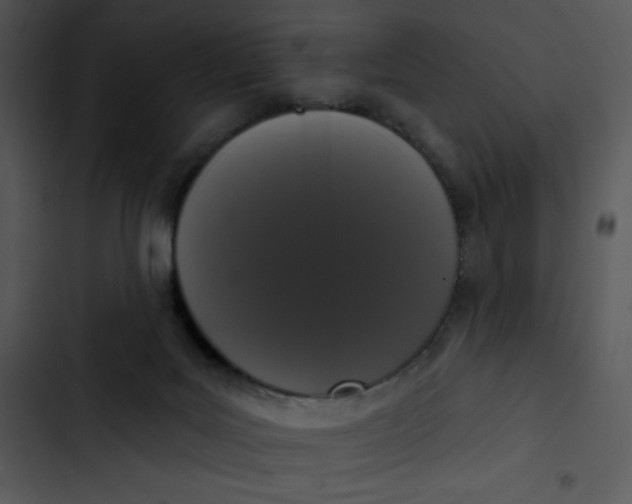 X0000102810027200809081118