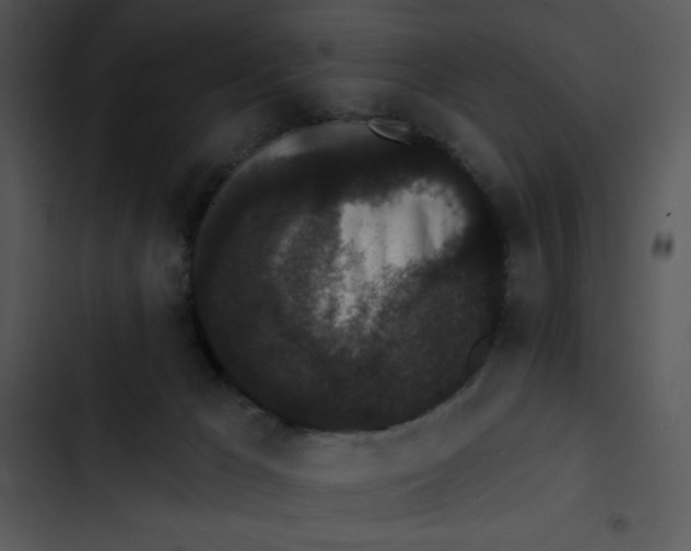 X0000102810029200809081118