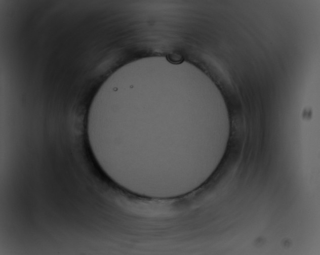 X0000102810032200809081118