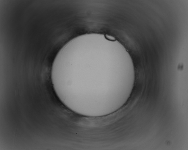 X0000102810033200809081118