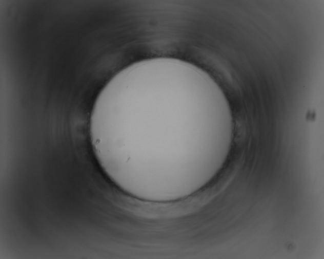 X0000102810034200809081118