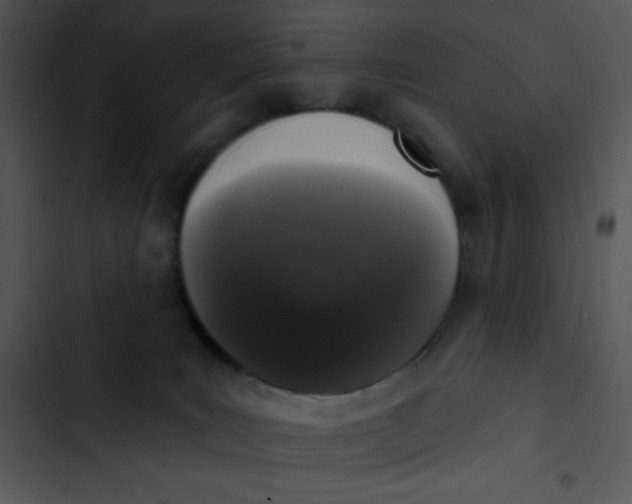 X0000102810035200809081118