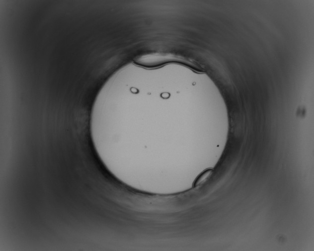 X0000102810036200809081118