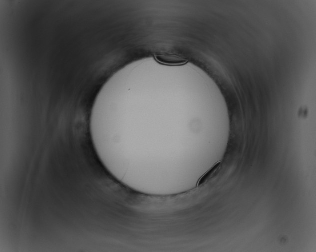 X0000102810037200809081118