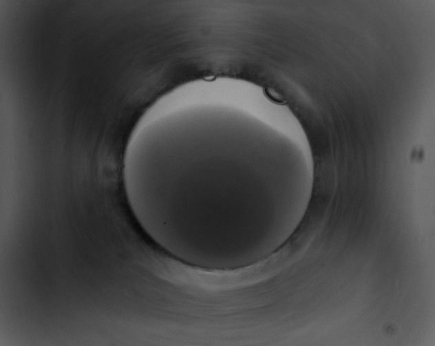 X0000102810039200809081118