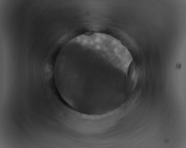 X0000102810043200809081118