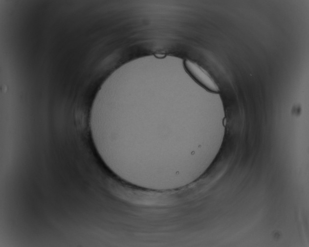 X0000102810044200809081118