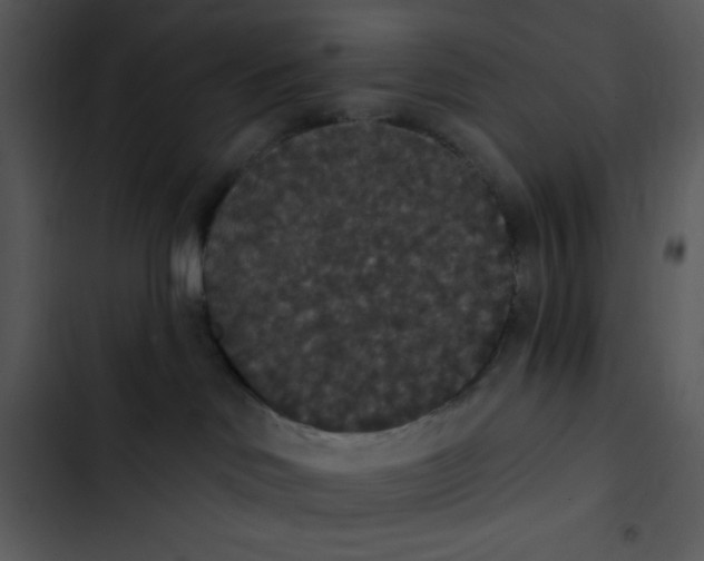 X0000102810046200809081118