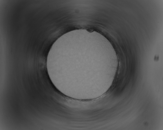 X0000102810048200809081118