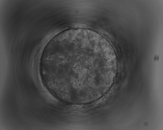 X0000102810049200809081117