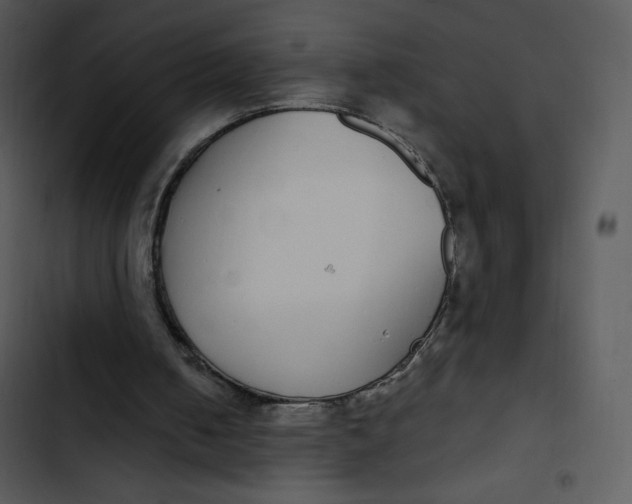 X0000102810050200809081117