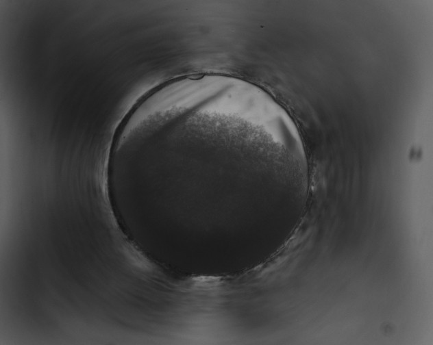 X0000102810052200809081117