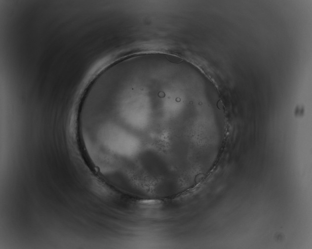 X0000102810053200809081117