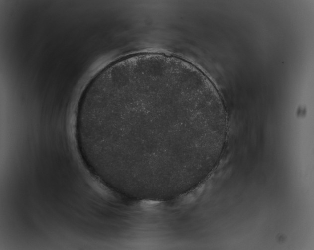 X0000102810055200809081117