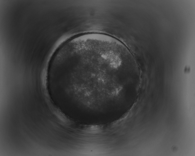 X0000102810056200809081117