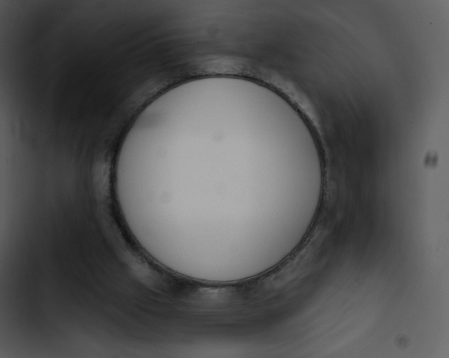 X0000102810057200809081117