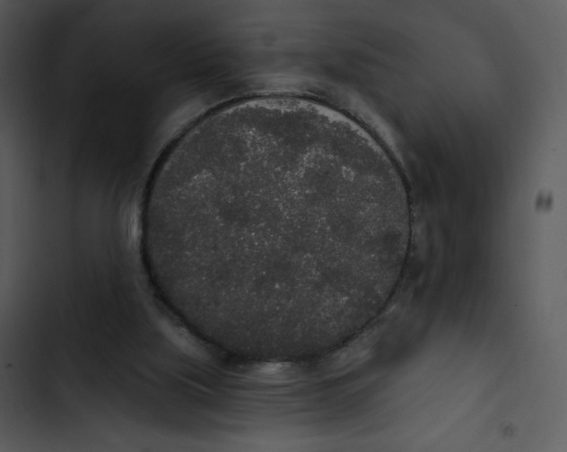 X0000102810059200809081118