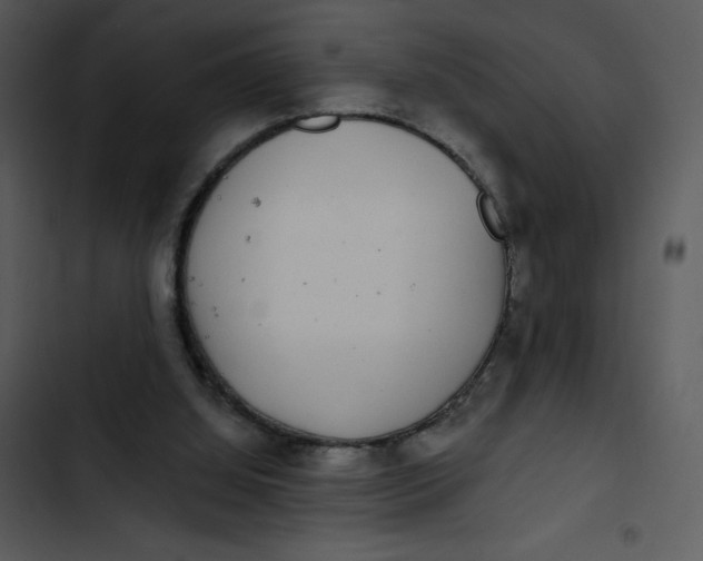 X0000102810060200809081118