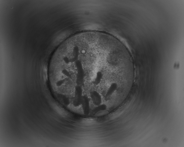 X0000102810061200809081118