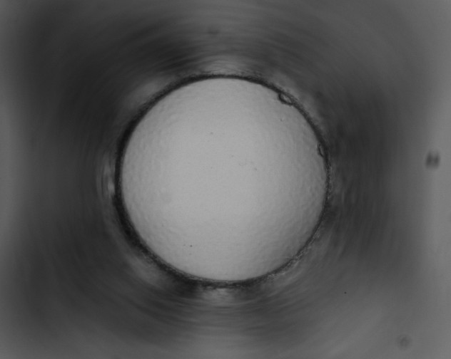 X0000102810062200809081118