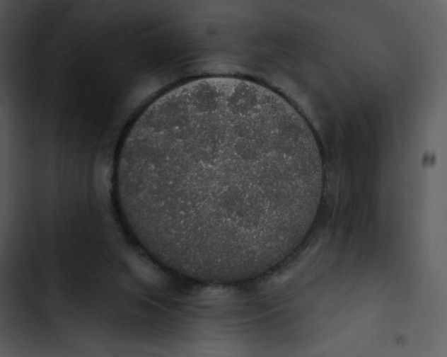 X0000102810063200809081118