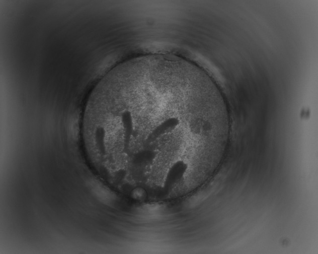 X0000102810065200809081118