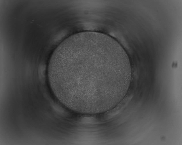 X0000102810066200809081118