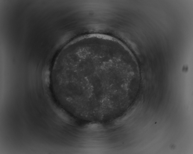 X0000102810067200809081118