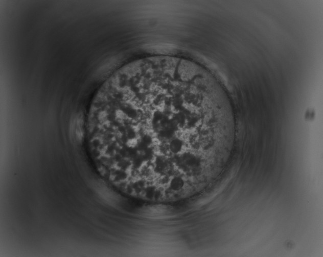 X0000102810069200809081118