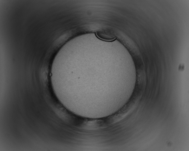 X0000102810072200809081118