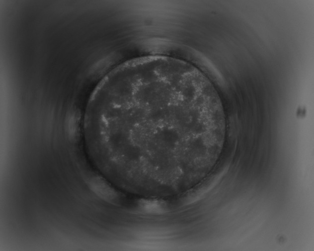 X0000102810073200809081118