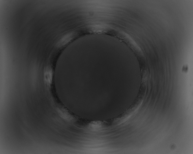 X0000102810076200809081118