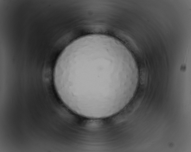 X0000102810077200809081118