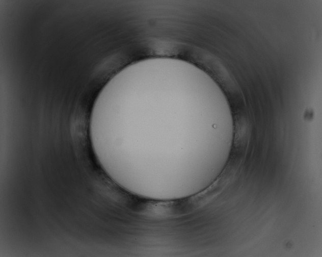 X0000102810078200809081118