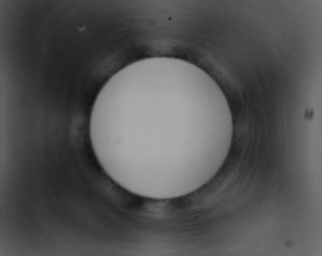 X0000102810079200809081118