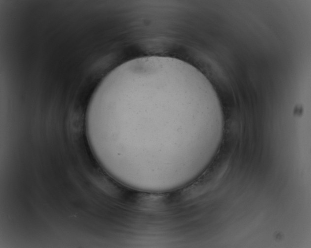 X0000102810081200809081118