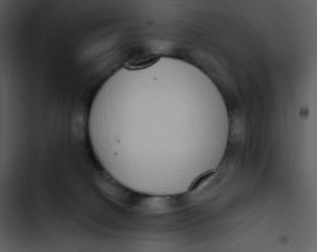 X0000102810082200809081118