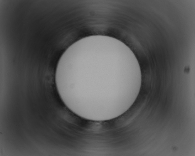 X0000102810083200809081118