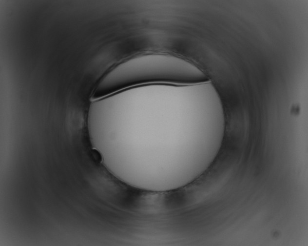 X0000102810084200809081118