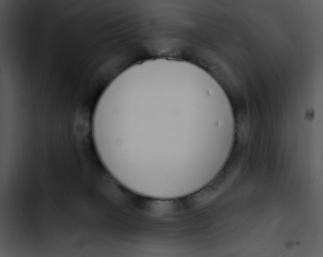 X0000102810085200809081118