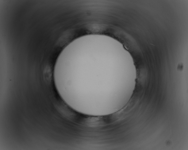 X0000102810086200809081118