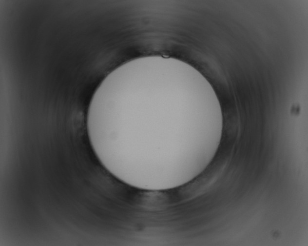 X0000102810087200809081118